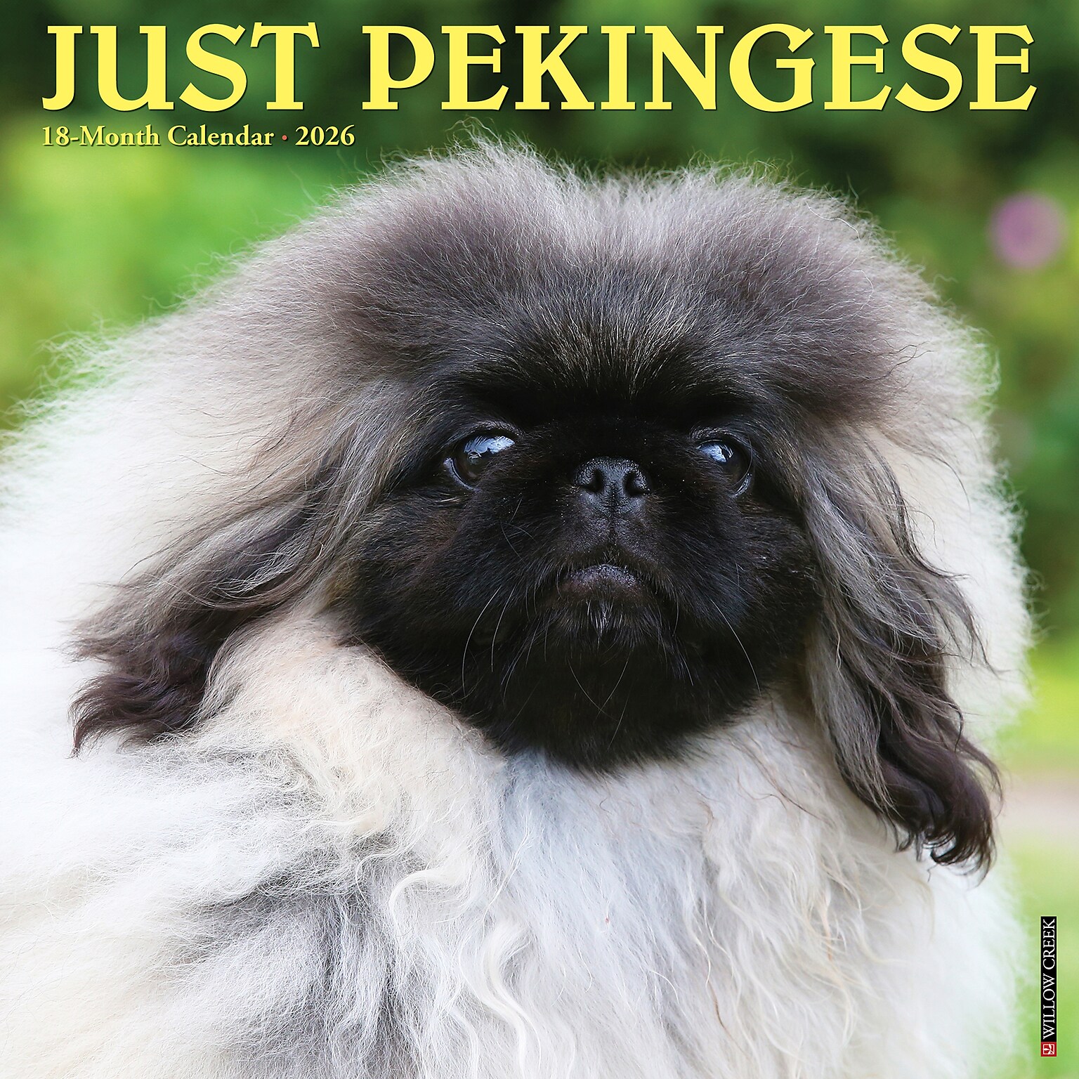 2026 Willow Creek Pekingese 12 x 12 Monthly Wall Calendar (52358)