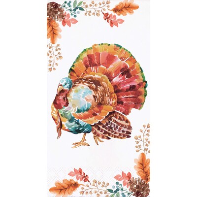 Say Hooray! Tasteful Turkey Paper Plates and Guest Towels Kit, Multicolored, 48/Pack (DTC9386E2H)