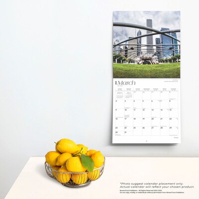 2025 BrownTrout Chicago 12" x 24" Monthly Square Wall Calendar, (9781975474645)