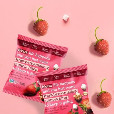 B'cuz Gluten Free Strawberry Mallow Granola Bites, 1 oz., 18 Bags/Box (BCZ-STR118)