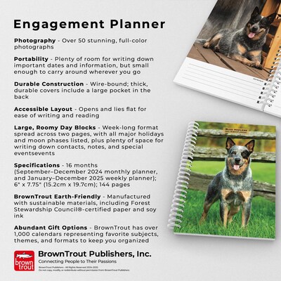 2025 BrownTrout Blue Heelers 6" x 7.75" Weekly Engagement Planner, Paper Cover, Multicolored (9781975483142)