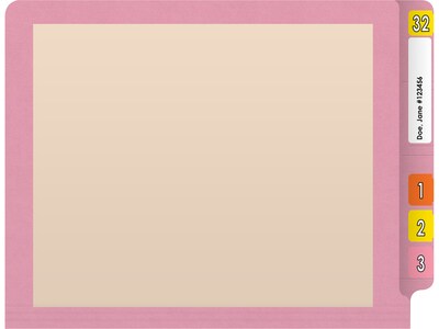 Medical Arts Press Reinforced End Tab File Folder, Straight-Cut, Letter Size, Manila/Violet, 50/Box (S-09473-PRP)