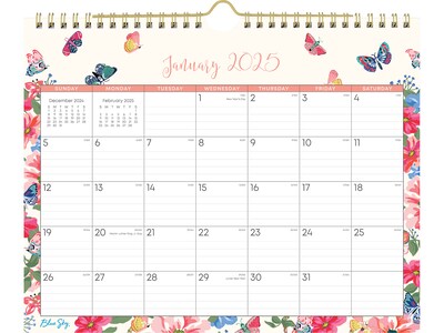 2025 Blue Sky Fly By 11 x 8.75 Monthly Wall Calendar (148643-25)