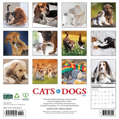 2026 Willow Creek Cats & Dogs 12 x 12 Monthly Wall Calendar (50620X)