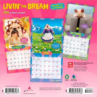 2026 BrownTrout Avanti Livin the Dream 7 x 7 Monthly Wall Calendar (9798330707966)