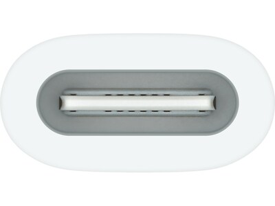 Apple USB-C to Apple Pencil Adapter, Female (MWML3AM/A)