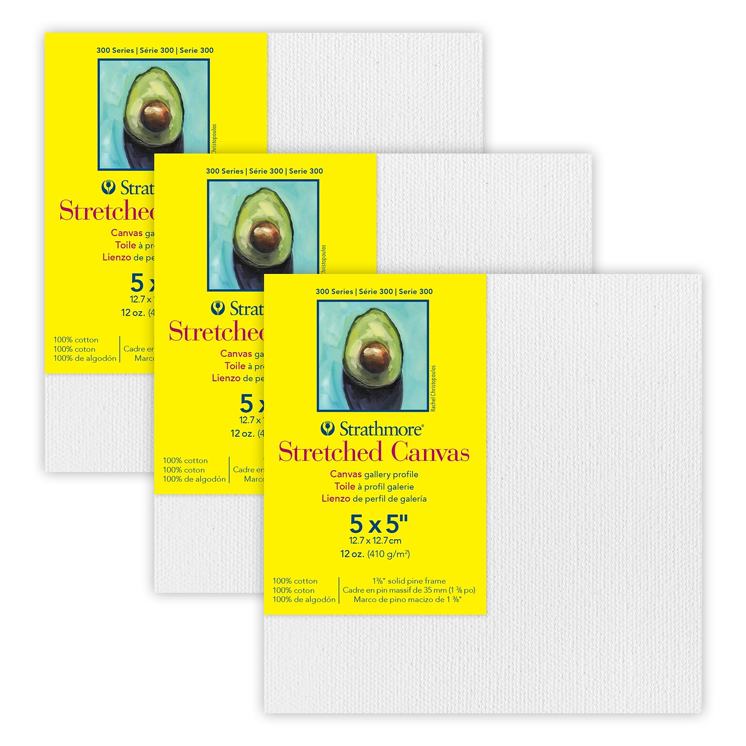 Strathmore 300 Series Primed Gallery Stretched Canvas, 5 x 5, 3/Bundle (STT31405-3)