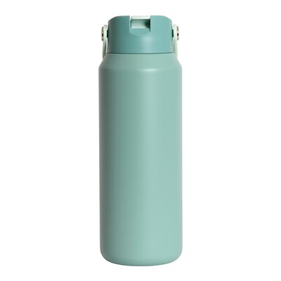 Elemental Core Stainless Steel Double Wall Insulated Water Bottle, 40 oz., Sage (EMLEBC40SG18)