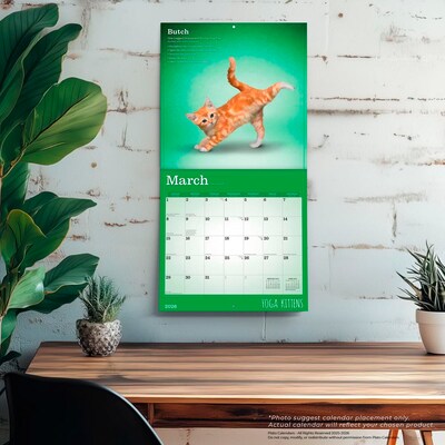 2026 Plato Yoga Kittens 12" x 12" Monthly Wall Calendar (9798330701964)