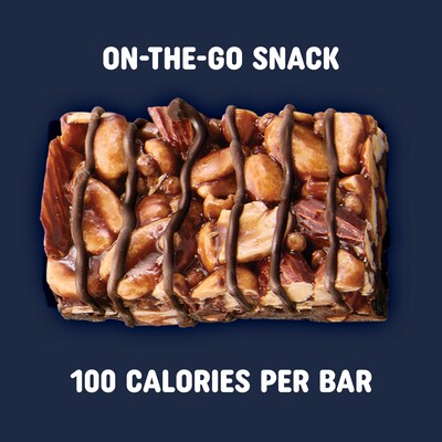 Pick Me Up Provisions™ Mini Gluten Free Salted Caramel Dark Chocolate Nut Bar, 0.7 oz., 20/Box (PM62795)