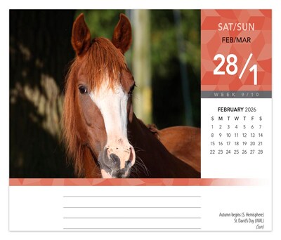 2026 BrownTrout Horse Lovers 6.06" x 5.13" Day-to-Day Calendar (9798330703678)
