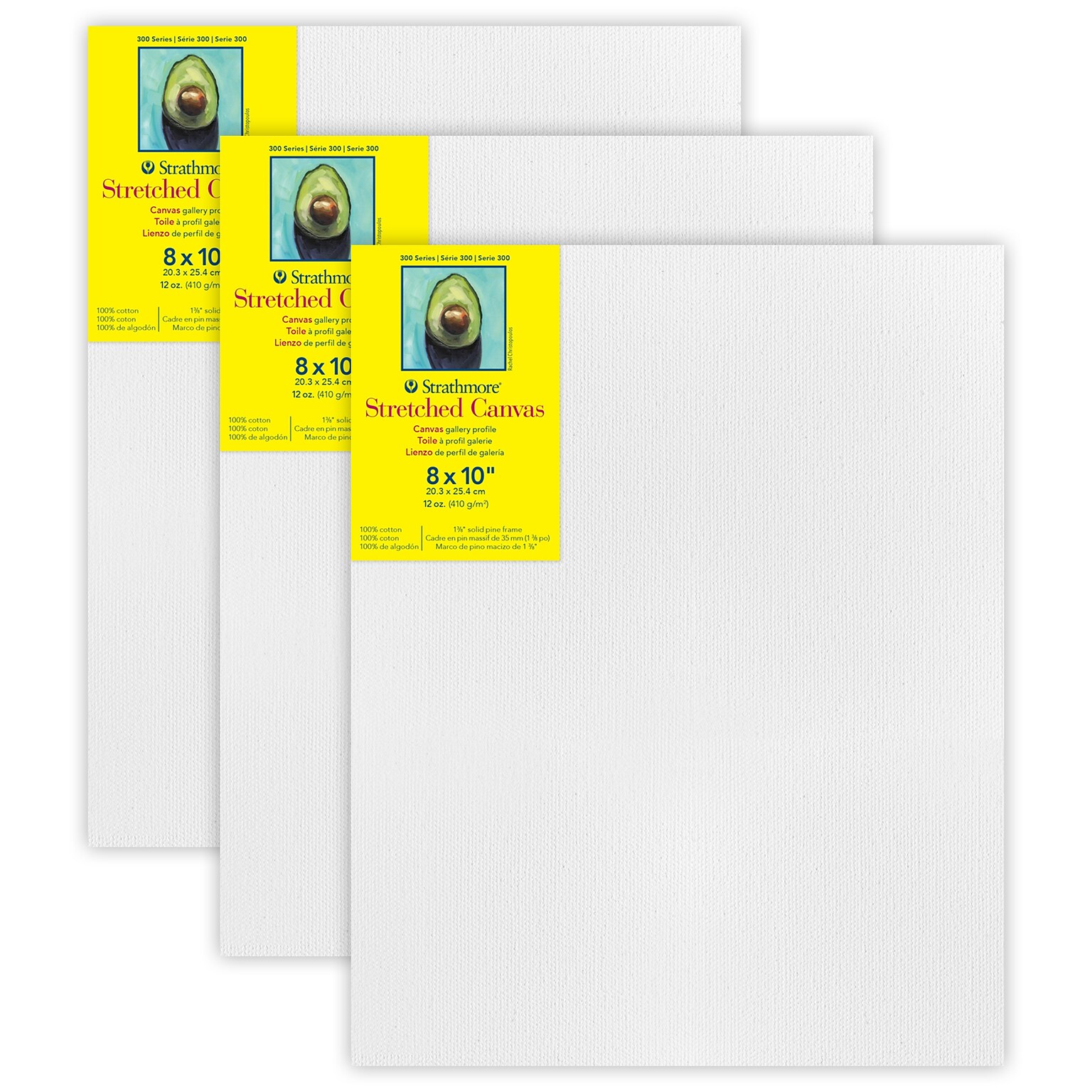 Strathmore 300 Series Primed Gallery Stretched Canvas, 8x10 inch, Pack of 3 (STT31408-3)