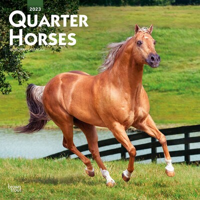 2023 BrownTrout Quarter Horses 12 x 12 Monthly Wall Calendar (9781975449063)