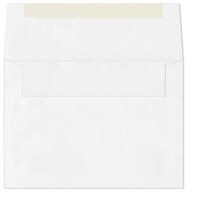 Snowy Greeting Cards, with Envelopes,  7" x 5"  Holiday Card, 25 Cards per Set