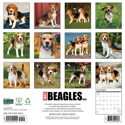 2027 Willow Creek Beagles 12 x 12 Monthly Wall Calendar, Assorted Colors (59104)
