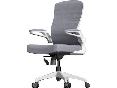 RAYNOR GROUP ION Fabric Task Chair, Gray/White (ION-WH-GRY)