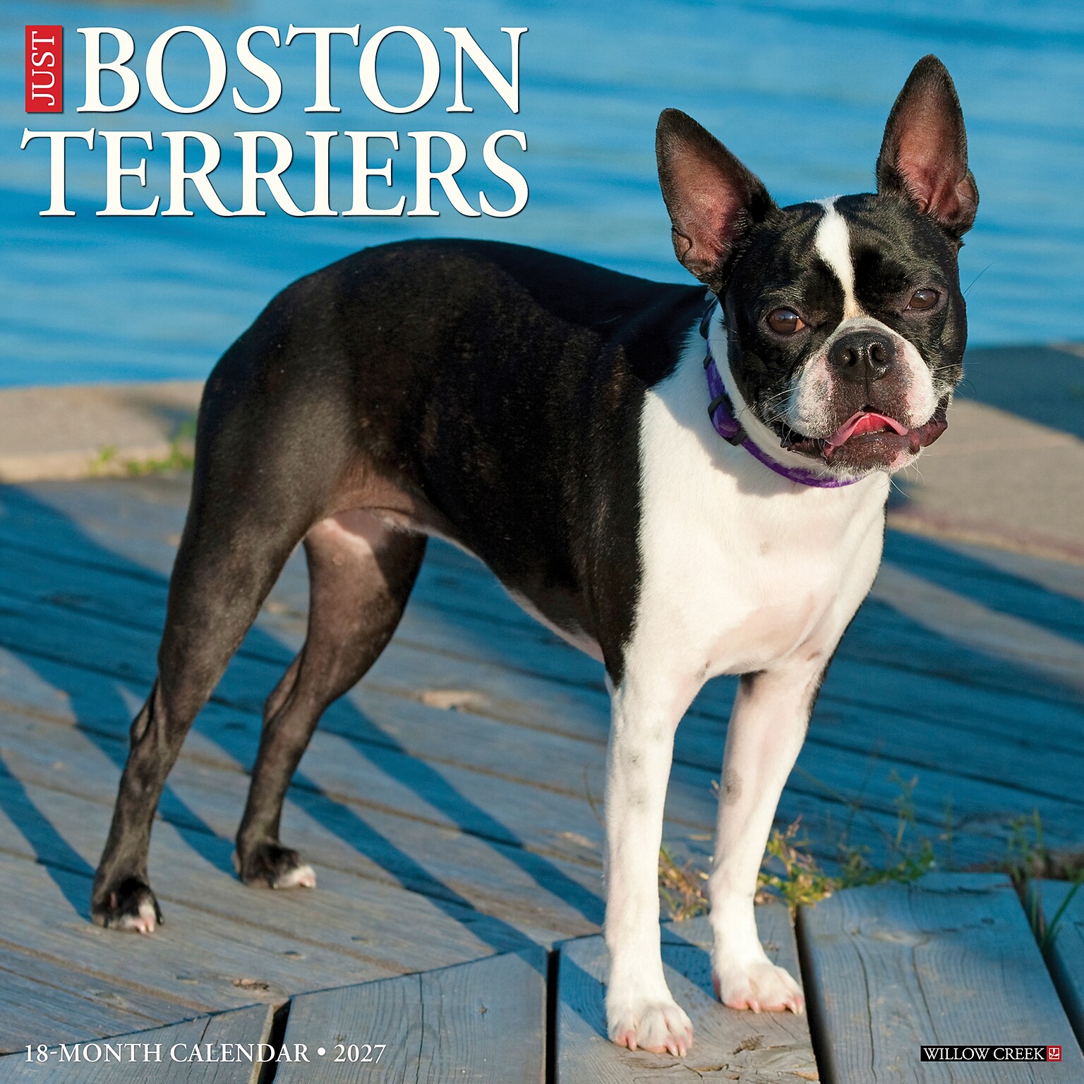 2027 Willow Creek Boston Terriers 12 x 12 Monthly Wall Calendar, Assorted Colors (59302)