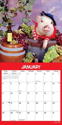 2026 Willow Creek Pigs at Play 12" x 12" Monthly Wall Calendar (52396)