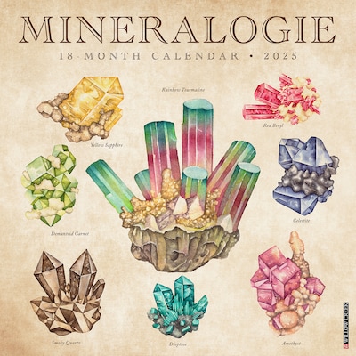 2025 Willow Creek Mineralologie 12 x 12 Yearly Wall Calendar (46494)