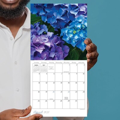 2027 TF Publishing Flowers 7" x 7" Monthly Wall Calendar, Multicolored (27-2014)