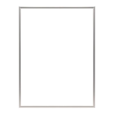Staples 12" x 18" Plastic Poster Frame, Silver (PPFRM-1218-SLV)