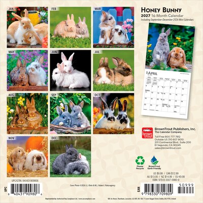 2027 BrownTrout Honey Bunny 7 x 7 Monthly Wall Calendar (9798330709809)