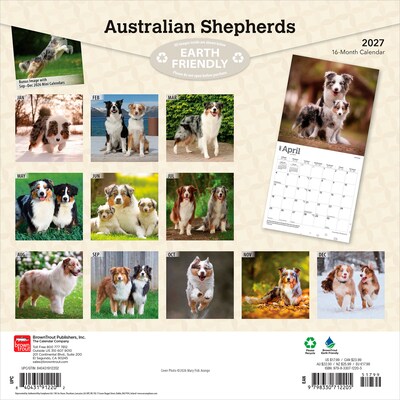 2027 BrownTrout Australian Shepherds 12 x 12 Monthly Wall Calendar (9798330712205)