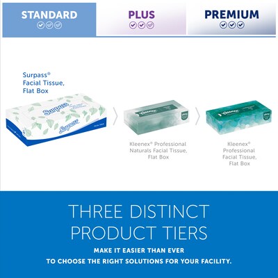 Surpass Standard Facial Tissue, 2-Ply, 100 Sheets/Box, 30 Boxes/Pack (21340)