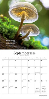 2026 Brush Dance Magic Mushrooms 12" x 12" Monthly Wall Calendar (9798330706570)