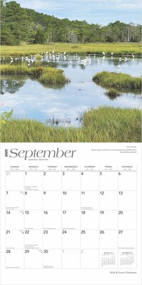2025 BrownTrout Delaware Wild & Scenic 12" x 12" Monthly  Wall Calendar (9781975474775)