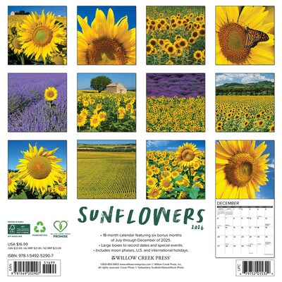 2026 Willow Creek Sunflowers 12 x 12 Monthly Wall Calendar (52907)