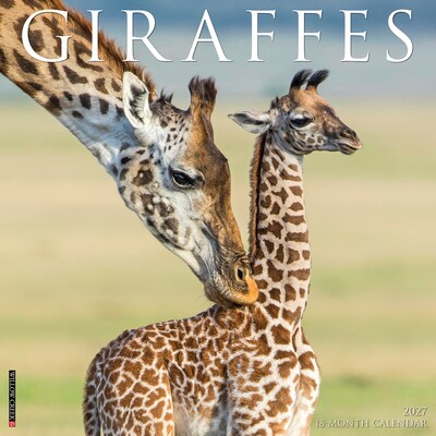 2027 Willow Creek Giraffes 12 x 12 Monthly Wall Calendar (60421)
