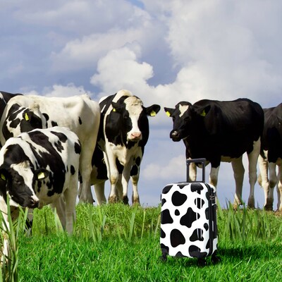 InUSA Prints 22.88" Hardside Suitcase, 4-Wheeled Spinner, TSA Checkpoint Friendly, Cow Animal Print (IUAPC00S-COW)