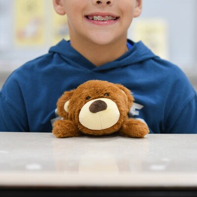 Bouncy Bands Bear Posture Pal, Light Brown (BBAPTBEAR)