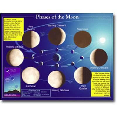 Phases of the Moon Chartlet