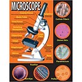 Basic Microscope Chartlet