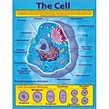 The Cell Chartlet