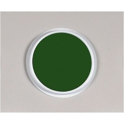 Ready2Learn Jumbo Circular Washable Stamp Pad, 6 Inch, Green (CE-6603)