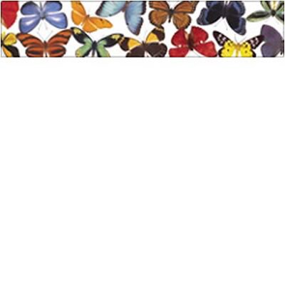 Butterflies & Moths Photo Border