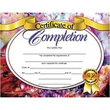 Hayes Certificate of Completion, 8.5 x 11, Pack of 30 (H-VA624)