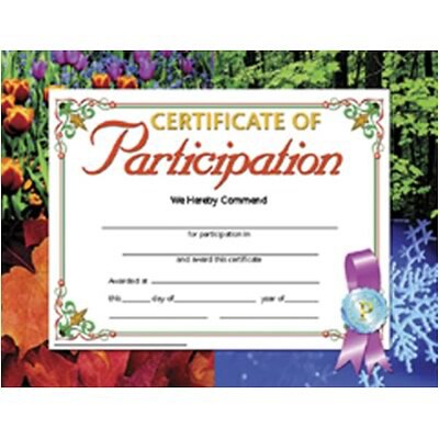 Hayes Certificate of Participation, 8.5 x 11, Pack of 30 (H-VA633)