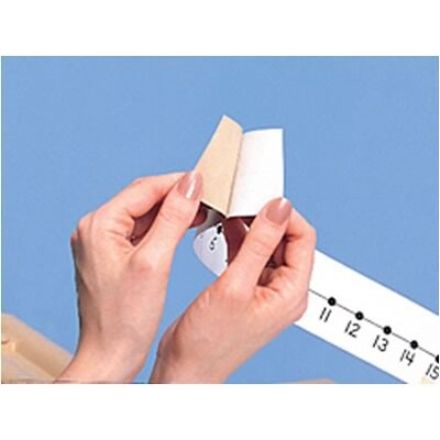 Student Number Lines with adhesive backs