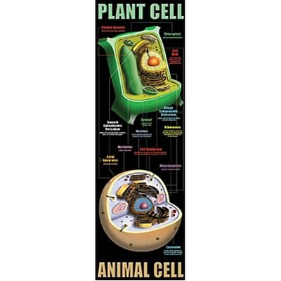 Plant & Animal Cells Colossal Concept Poster