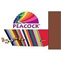 Peacock® 4-Ply Railroad Poster Board, 22” x 28”, Brown, 25/Pack