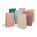 Rainbow  Kraft Paper Bags, 6 x 11, Pastel Colors, Pack of 28 (PAC72130Q)
