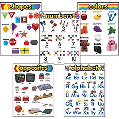 Set of 5 Trend Enterprises Kindergarten Basic Skills Learning Charts Combo Pack 