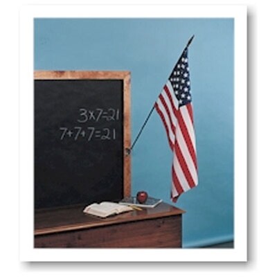 Annin & Co. U.S. Classroom Flag, 16" x 24" with Staff (ANN042900)