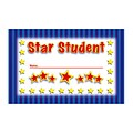 North Star Teacher Resources Star Student Incentive Punch Cards, 36 ct. (NST2402)