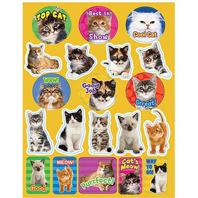 Cats Motivational Stickers