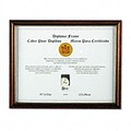 DAX® Two-Tone Document/Diploma Frame, Wood, 8 1/2 x 11, Maple, Each (N17981MT)